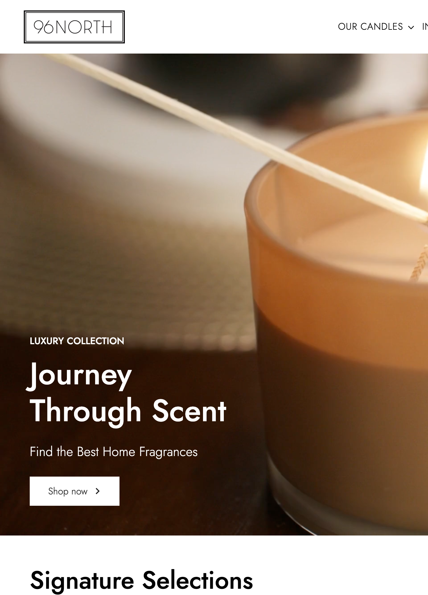 96NORTH homepage ATF