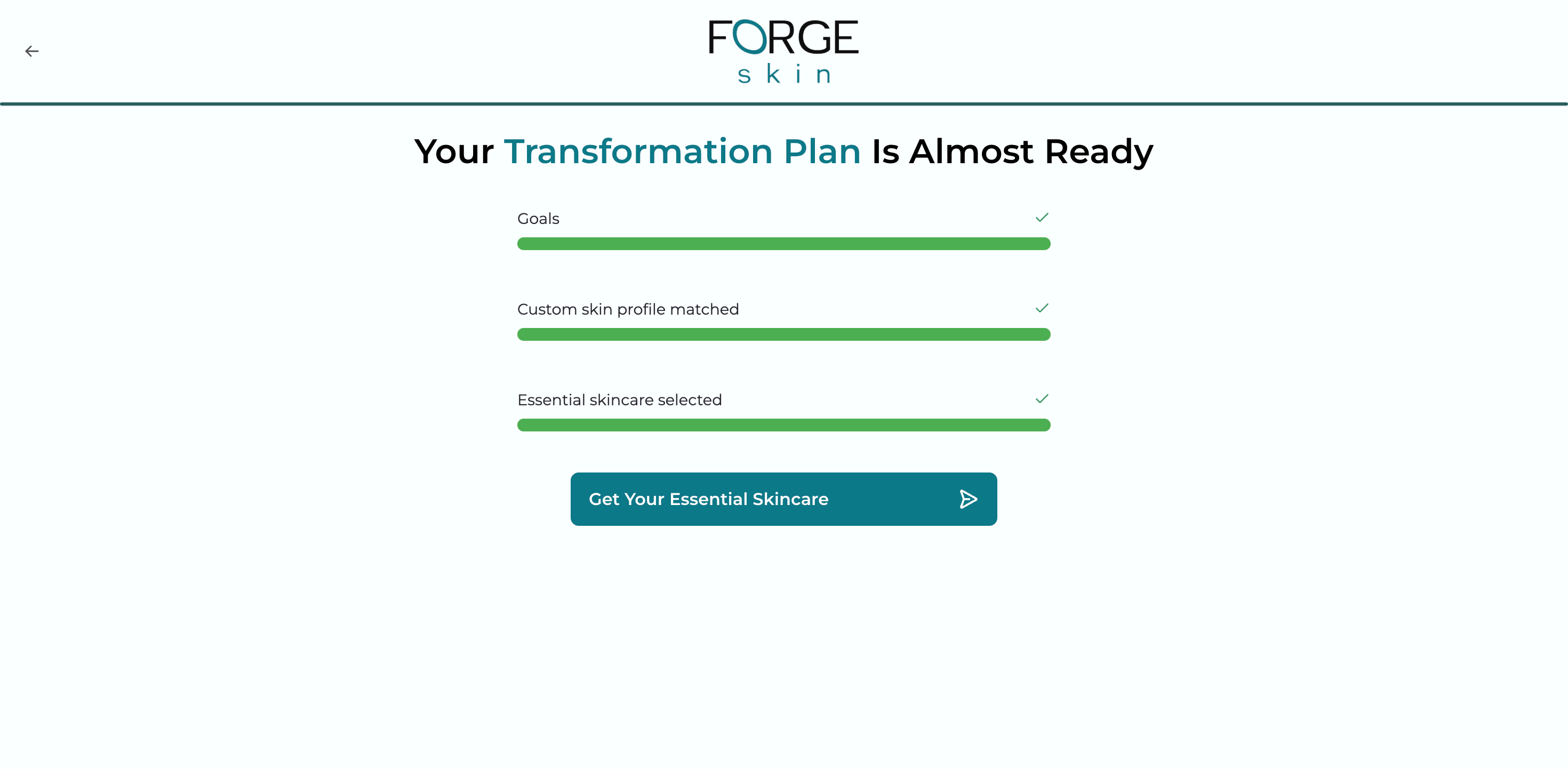 Forge Skin, step 24, the last screen before the sales page.
